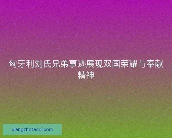 匈牙利刘氏兄弟事迹展现双国荣耀与奉献精神
