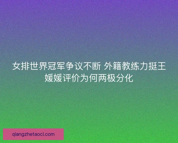 女排世界冠军争议不断 外籍教练力挺王媛媛评价为何两极分化