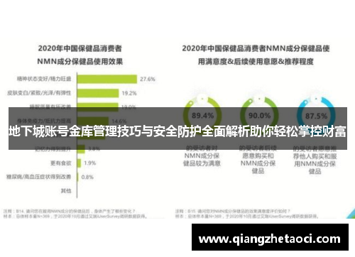 地下城账号金库管理技巧与安全防护全面解析助你轻松掌控财富